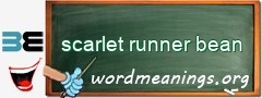 WordMeaning blackboard for scarlet runner bean